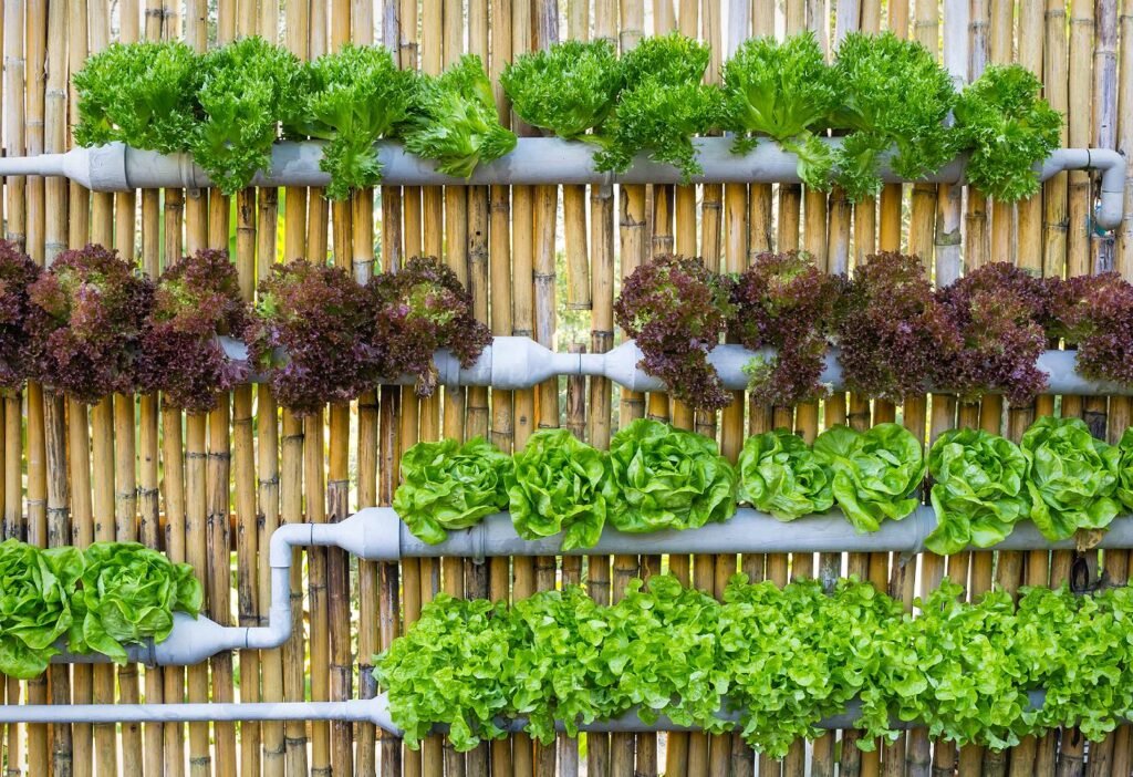 opiniones 3 Cursos en 1: Jardín Vertical Profesional,Cuadros Vivos y Huertas Verticales